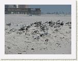 IMG_7407 (Medium) * 800 x 600 * (72KB)